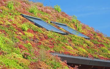 Middleton On Leven living roof systems