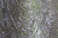 Middleton On Leven fibreglass roof work